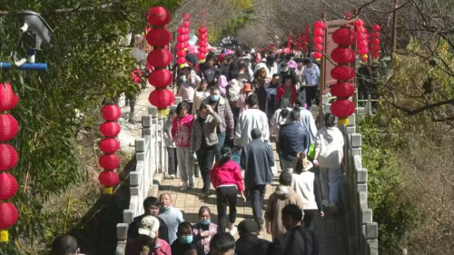 图片 14