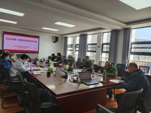 2025一季度党员大会 (1)