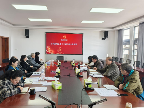 2025一季度党员大会 (4)
