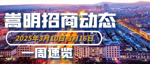招商动态日期