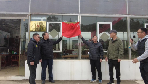 图片1