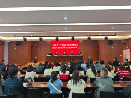 双提升2025年春季学期合综合实践 1
