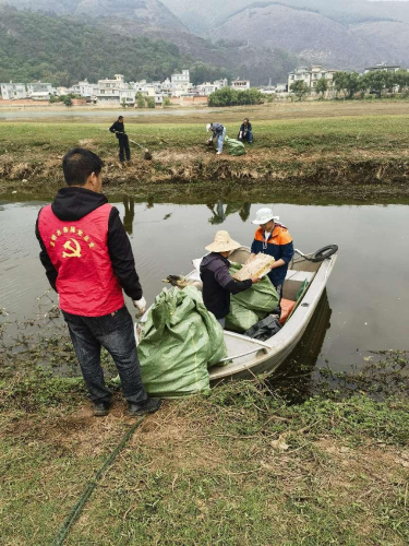 图片7
