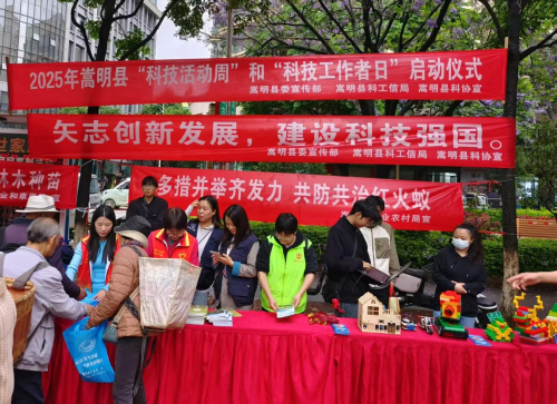 图片2