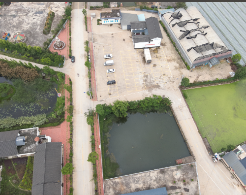 杨桥街道龙街地震应急避难场所