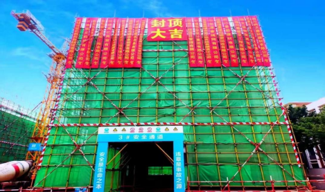 5.实验中学