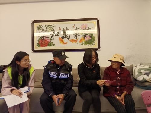走访 1
