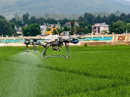 微信图片_2025-12-24_162816_767