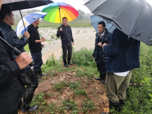 a60c981f83f56ccb809b03680e08d37