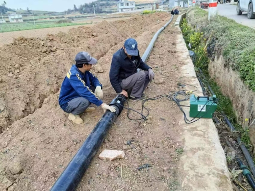 微信图片_20250603095351