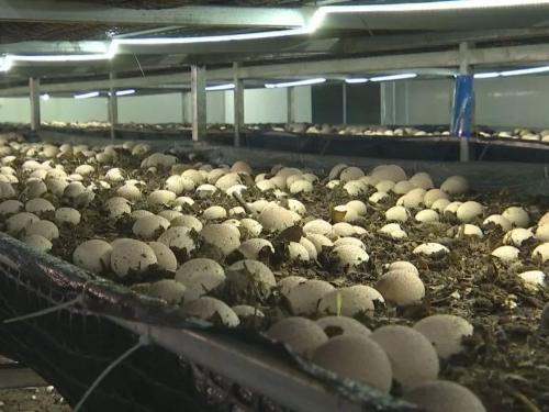 微信图片_20250527180005