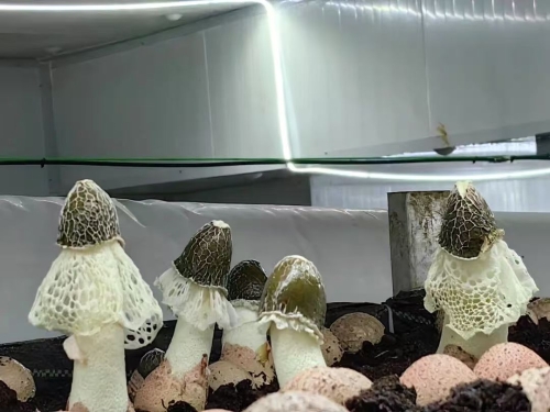 400fcc986d5bad6b4e77ae4d46031f9