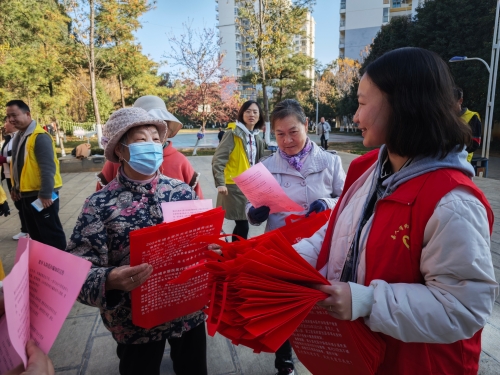 2024年12月嵩明县志愿服务总队 杨林镇法律服务志愿分队开展老年人防范诈骗知识宣传” jpg (13)