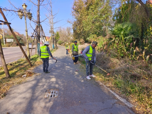 accbd432670fd8c7b26d625998e59826