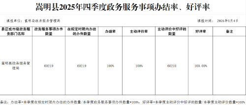 （嵩明县2025四季度）政务服务清单事项办结率、好评率报送表