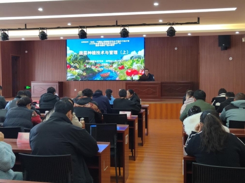 双提升2 双提升2