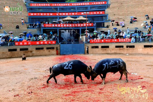 44微信图片_2026-04-02_110124_070