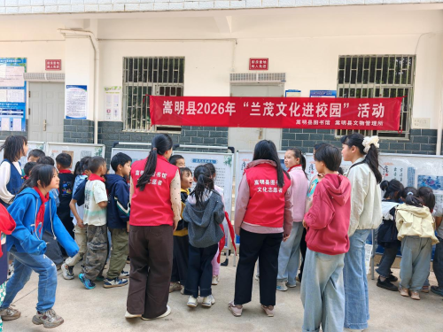 图片5
