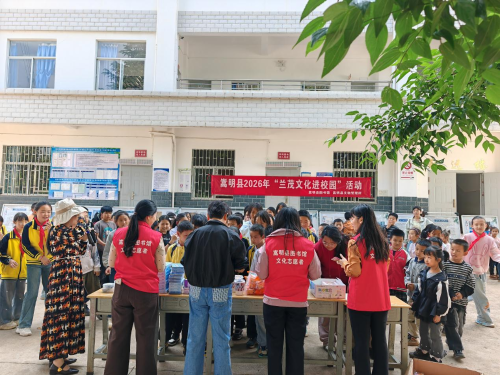 图片4