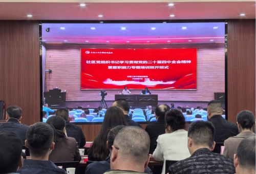市社区党组织书记1