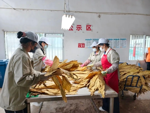 微信图片_2026-08-27_094338_140