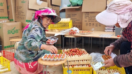 微信图片_2026-09-29_102126_198
