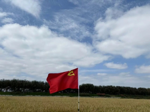 微信图片_2026-10-12_143757_170 微信图片_2026-10-12_143757_170